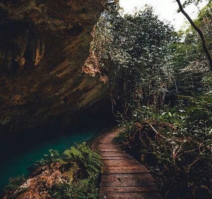 Cenotes near Playa del Carmen